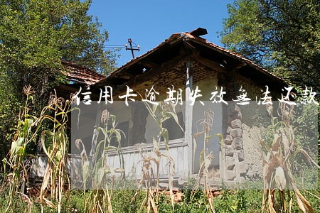 信用卡逾期失效无法还款怎么办 信用卡逾期失效无法还款怎么办