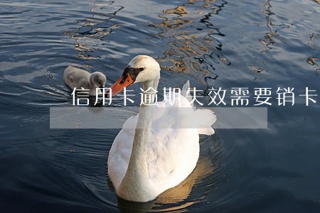 信用卡逾期失效需要销卡吗 信用卡逾期失效需要销卡吗