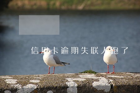 信用卡逾期失联人跑了 信用卡逾期失联人跑了