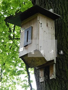 信用卡逾期失联可以协商减免吗 信用卡逾期失联可以协商减免吗