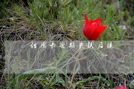 信用卡逾期失联后续 信用卡逾期失联后续