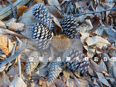 信用卡逾期失联后自首要坐牢吗 信用卡逾期失联后自首要坐牢吗