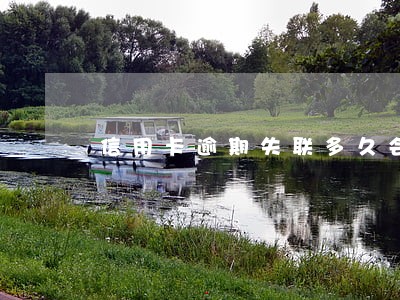 信用卡逾期失联多久会报案