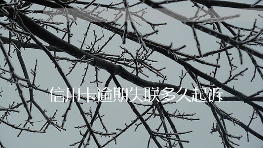 信用卡逾期失联多久起诉 信用卡逾期失联多久起诉
