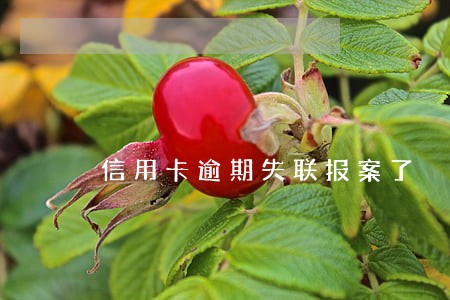 信用卡逾期失联报案了 信用卡逾期失联报案了