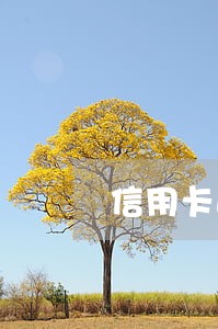 信用卡逾期失联每月还100