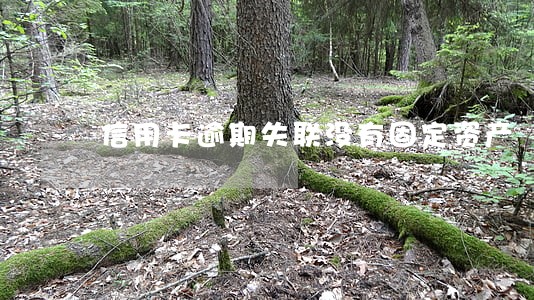 信用卡逾期失联没有固定资产