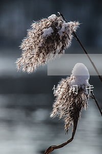 信用卡逾期套不出来吗 信用卡逾期套不出来吗