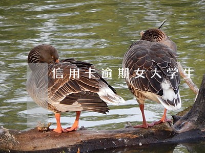 信用卡逾期女大学生