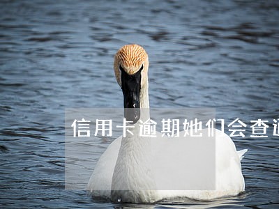 信用卡逾期她们会查通讯录吗