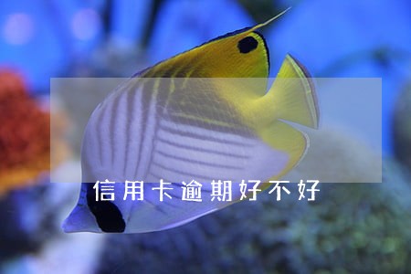 信用卡逾期好不好 信用卡逾期好不好