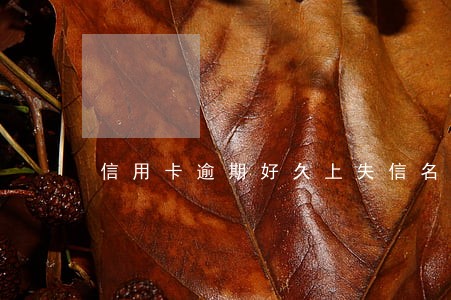 信用卡逾期好久上失信名单 信用卡逾期好久上失信名单