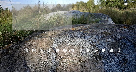 信用卡逾期好久了存不进去了 信用卡逾期好久了存不进去了