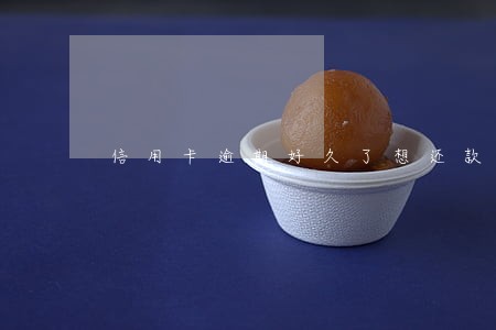 信用卡逾期好久了想还款