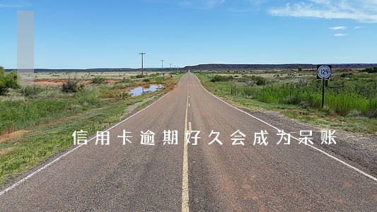 信用卡逾期好久会成为呆账 信用卡逾期好久会成为呆账