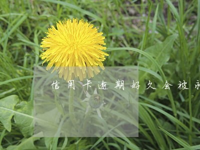 信用卡逾期好久会被永久停卡