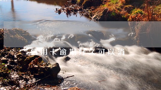 信用卡逾期好久可以消 信用卡逾期好久可以消