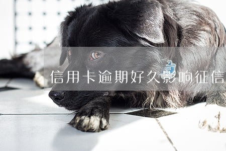 信用卡逾期好久影响征信