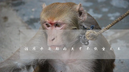 信用卡逾期好久才不能坐火车 信用卡逾期好久才不能坐火车