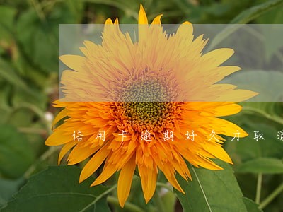 信用卡逾期好久才取消 信用卡逾期好久才取消