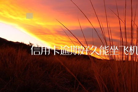 信用卡逾期好久能坐飞机吗