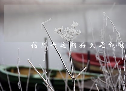 信用卡逾期好久还能做分期