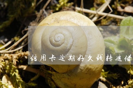 信用卡逾期好久钱转进储蓄卡 信用卡逾期好久钱转进储蓄卡