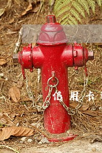 信用卡逾期好会不会被抓