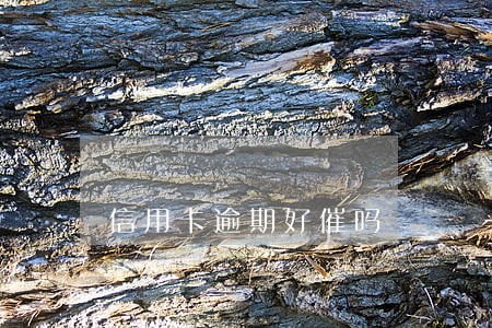 信用卡逾期好催吗 信用卡逾期好催吗