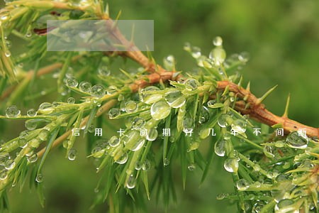 信用卡逾期好几年不间断小额还款