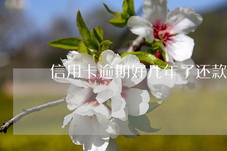 信用卡逾期好几年了还款怎么办 信用卡逾期好几年了还款怎么办