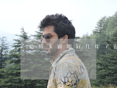 信用卡逾期好几年了银行也没动静 信用卡逾期好几年了银行也没动静
