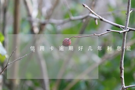 信用卡逾期好几年利息能减少吗