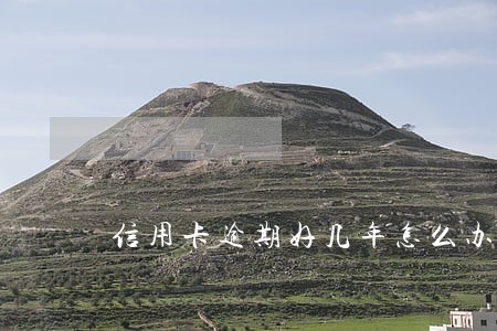 信用卡逾期好几年怎么办