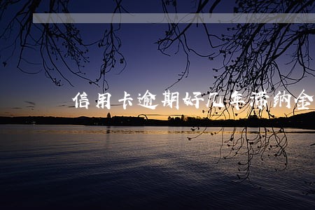 信用卡逾期好几年滞纳金