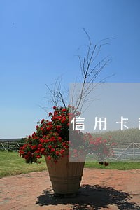 信用卡逾期好几年能少还点吗 信用卡逾期好几年能少还点吗
