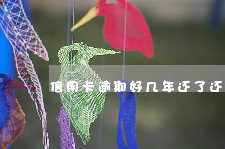 信用卡逾期好几年还了还能用吗 信用卡逾期好几年还了还能用吗