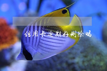 信用卡逾期好删除吗 信用卡逾期好删除吗