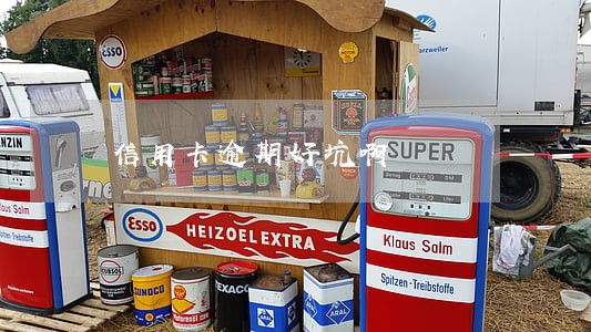 信用卡逾期好坑啊
