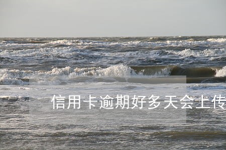 信用卡逾期好多天会上传征信 信用卡逾期好多天会上传征信