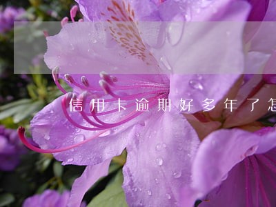 信用卡逾期好多年了怎么还款 信用卡逾期好多年了怎么还款