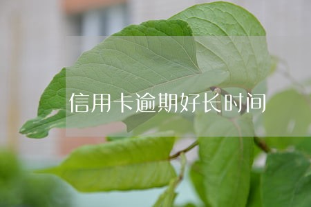 信用卡逾期好长时间