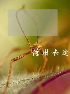 信用卡逾期如何上岸 信用卡逾期如何上岸