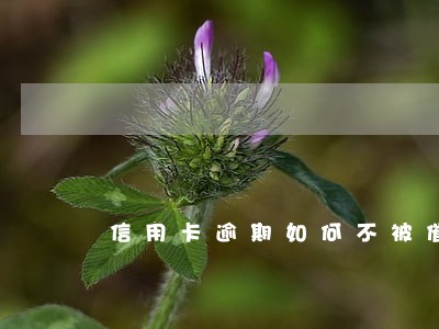 信用卡逾期如何不被催 信用卡逾期如何不被催