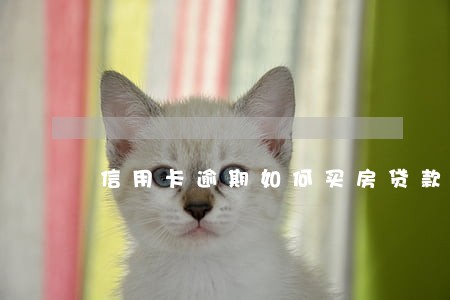 信用卡逾期如何买房贷款 信用卡逾期如何买房贷款