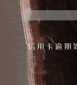 信用卡逾期如何停止催收