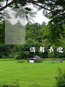 信用卡逾期如何免息分期付款 信用卡逾期如何免息分期付款