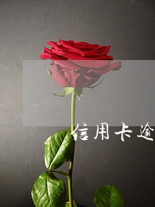 信用卡逾期如何全额结清 信用卡逾期如何全额结清
