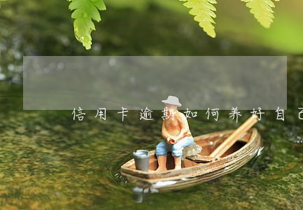 信用卡逾期如何养好自己的征信 信用卡逾期如何养好自己的征信