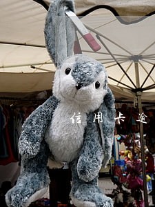 信用卡逾期如何写贫困证明 信用卡逾期如何写贫困证明